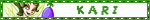 Kari