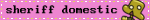 Sheriff domestic