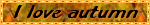 I love autumn