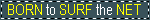 Born to surf the net