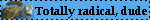 Totally radical, dude