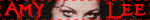 Amy Lee