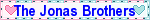 The Jonas Brothers