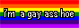 I'm a gay ass hoe