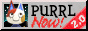 Purrl now!