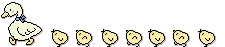 Goose and goslings