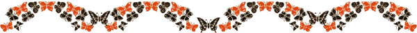 Black and orange Butterflies