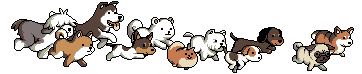Dogs running