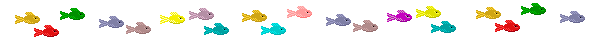 Multicolour Fish