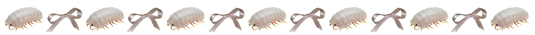 Isopods and bows