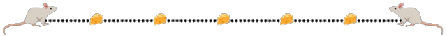 Rats and cheese