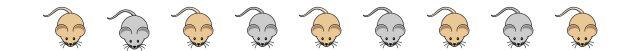 Grey and beige mice