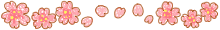 Cherry blossoms