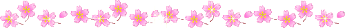Cherry blossoms