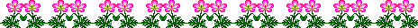 Pink flowers with stems