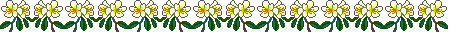 White and yellow flowers with stems