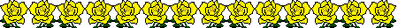 Yellow roses