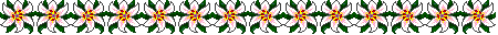 White lilies