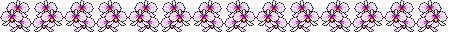 Pink flowers