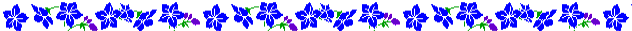 Blue flowers