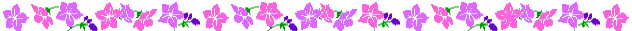 Pink and purple flowers