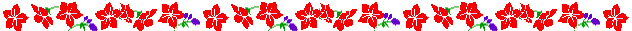 Red flowers