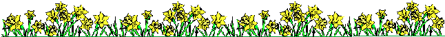 Yellow flowers