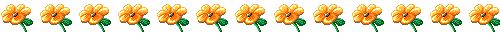Orange flowers