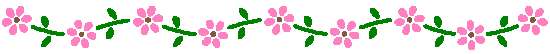 Pink flowers with stems