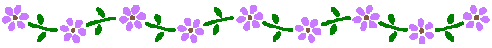 Purple flowers with stems