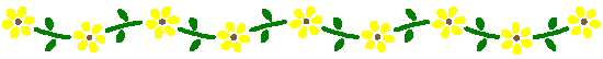 Yellow flowers with stems