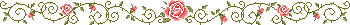 Pink roses