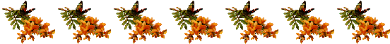 Oranges flowers and butterfles