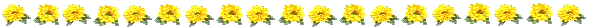 Yellow flowers