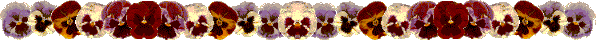 Pansies