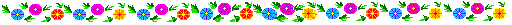 Multicolour flowers