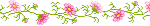 Pink flowers