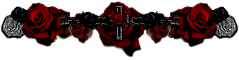 Dark red roses