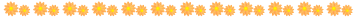 Orange daisies