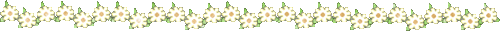 White daisies