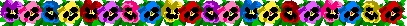Pansies