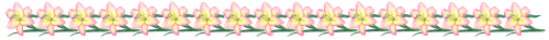 White and pink lilies