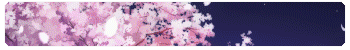 Sakura leaves