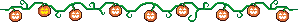 Pumpkins and vines