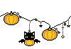 Pumpkins and cat