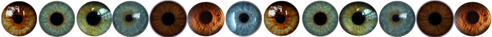 Irises