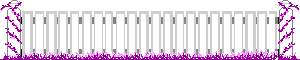 White fence with pink grass