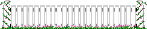 White fence