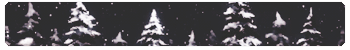 Snowy forest