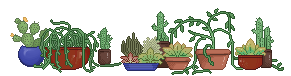 Cacti